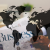 Launching a Successful Digital Marketing Campaign